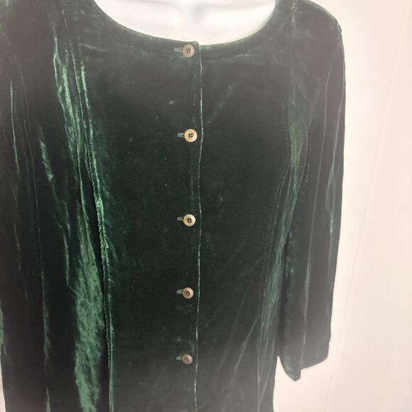 Dana B & Karen Womens Velvet Top 4 Silk Button Up Minimalist Forest Fairy Dark - Picture 2 of 10